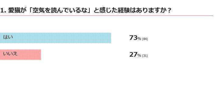 愛猫は空気を読んでいると感じる？