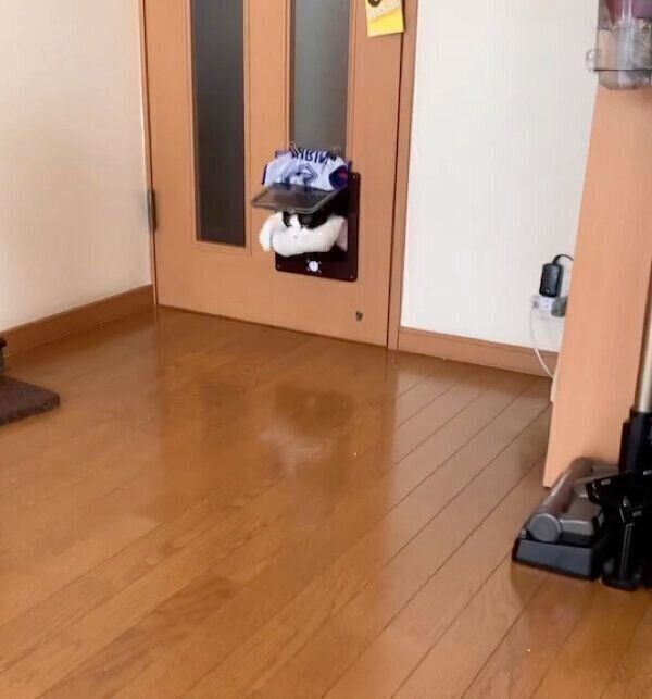 ベッドを運ぶもみじちゃん