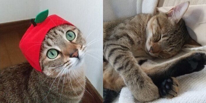 まん丸おめめがキュートなけいくん