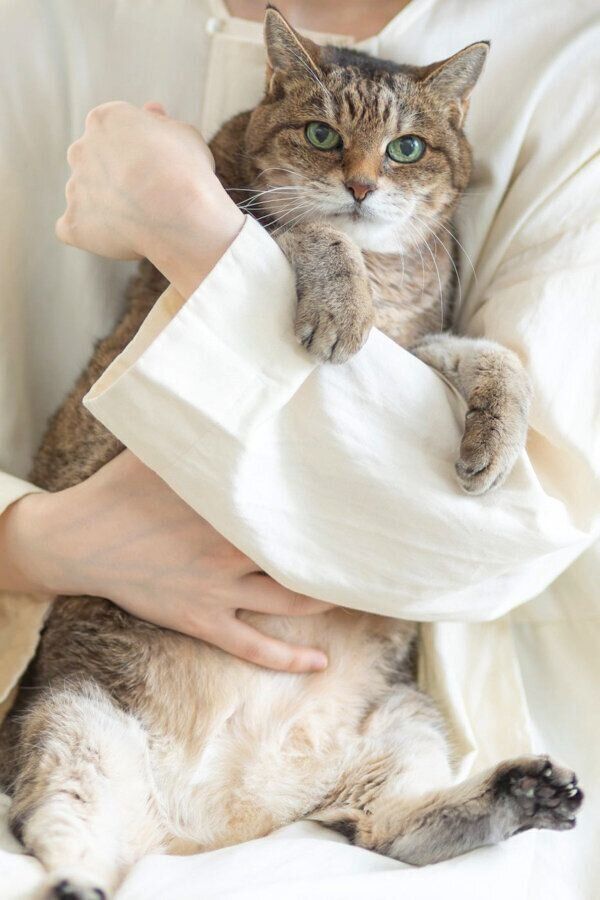 抱っこされるモカさん