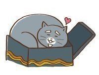 イラスト／モリヤリョウコ