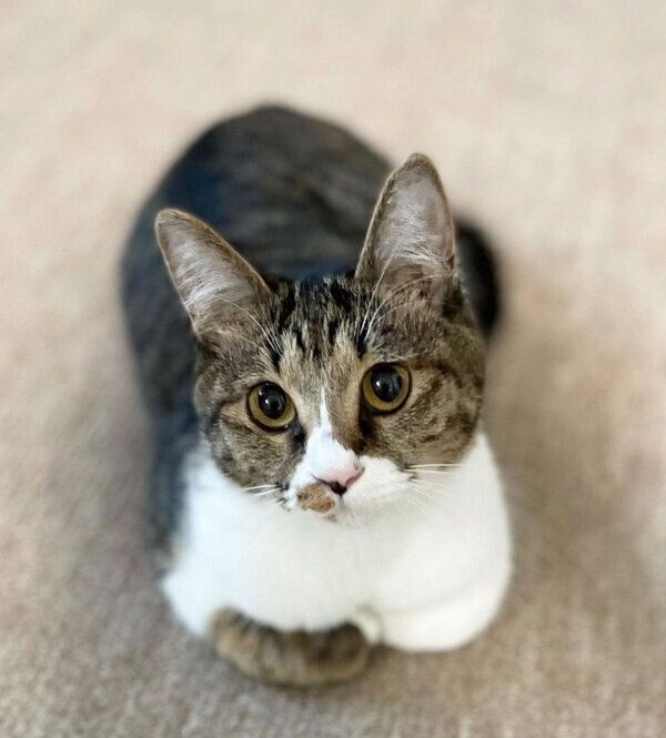 くつろぐみいちゃん