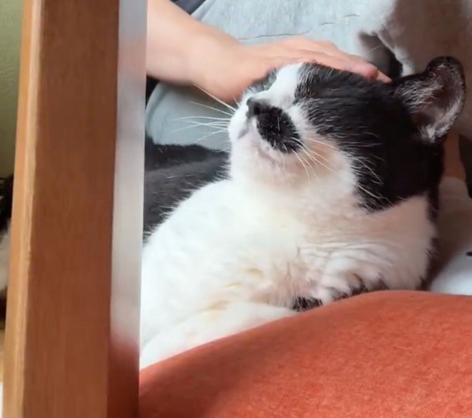 甘えるドツちゃん