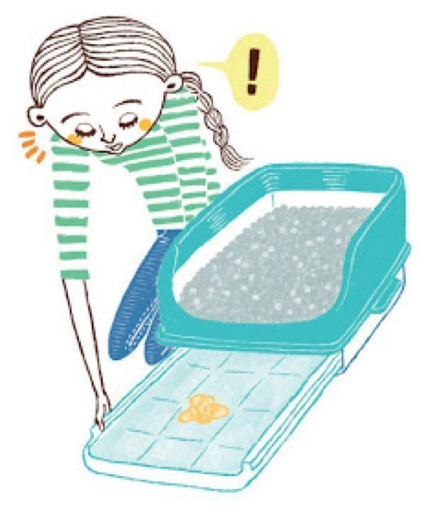 ○○がある・ないのサインでわかる猫の病気