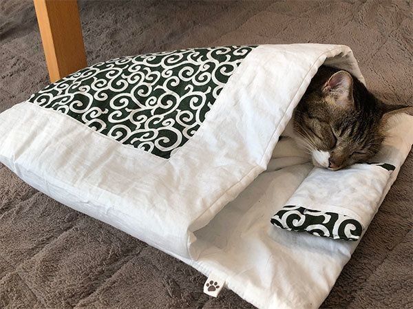 眠るやっちゃん