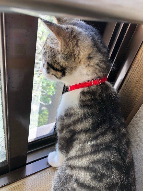 ちょっぴり窓開けてもらった♪