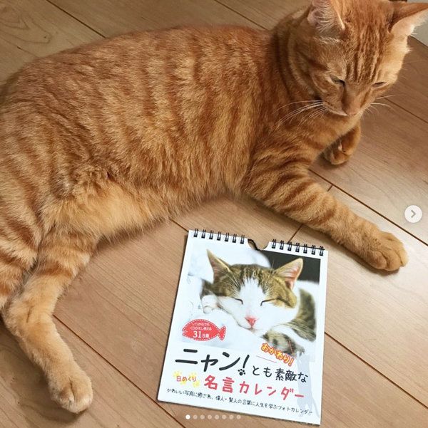 日めくり名言カレンダー