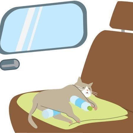 熱中症になった猫