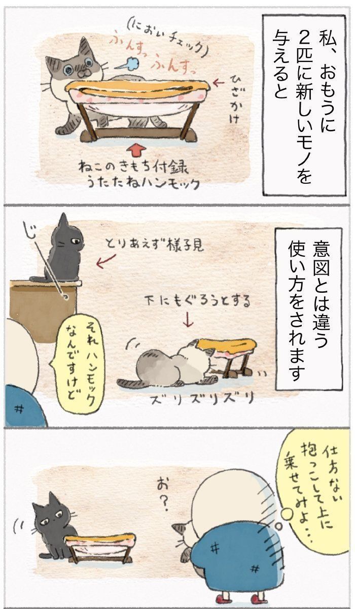 「ねこ連れ草」55話め