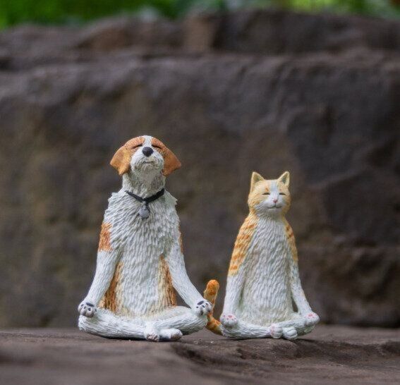 悟りをひらいた猫　師匠の犬