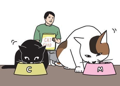 『男の猫道』サムネイル
