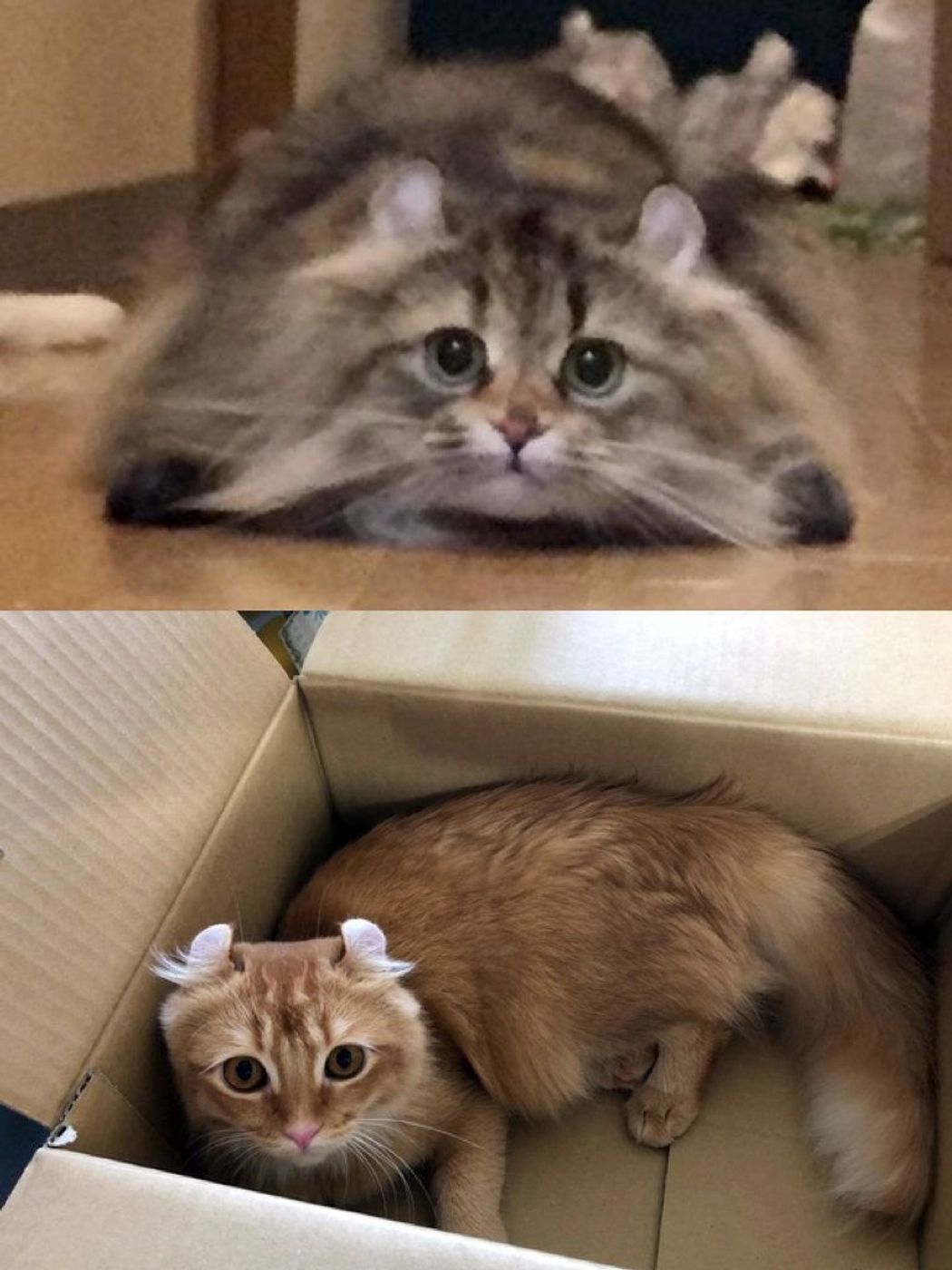 6axkqeibxq0dim 6axkqeibxq0dim