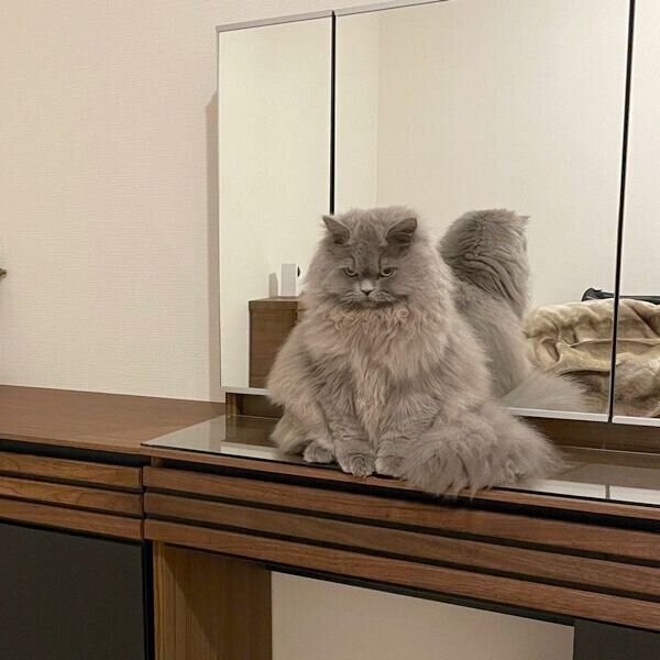 ものすごい表情で睨む勘吉さん