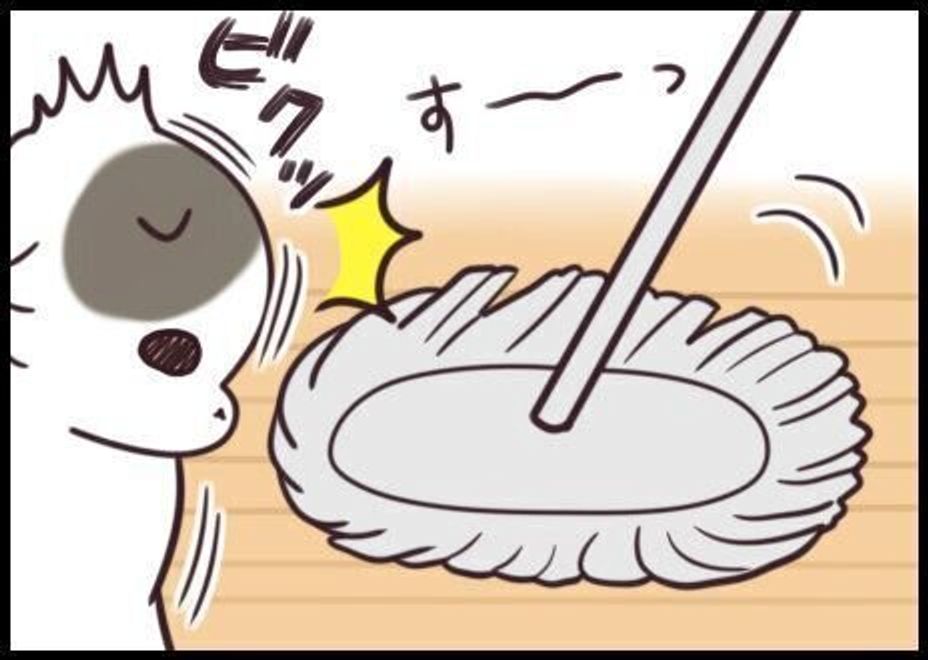 モップは敵か遊び仲間か 反応が真逆な猫たち 連載 もふもふスコたん 3 ねこのきもちweb Magazine モップは敵か遊び仲間か 反応が真逆な猫たち 連載 もふもふスコたん 3 ねこのきもちweb Magazine