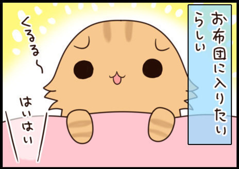 気温が下がって いっしょに寝てくれると思いきや もふもふスコたん Vol 42 ねこのきもちweb Magazine 気温が下がって いっしょに寝てくれると思いきや もふもふスコたん Vol 42 ねこのきもちweb Magazine