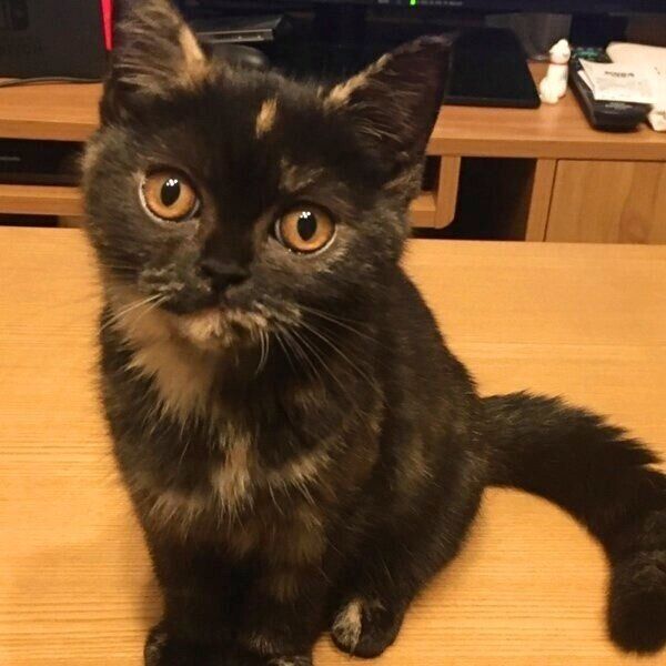 生後3カ月のころのめいちゃん
