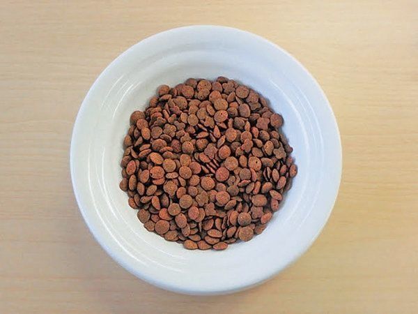 猫の嗜好品のおやつとは