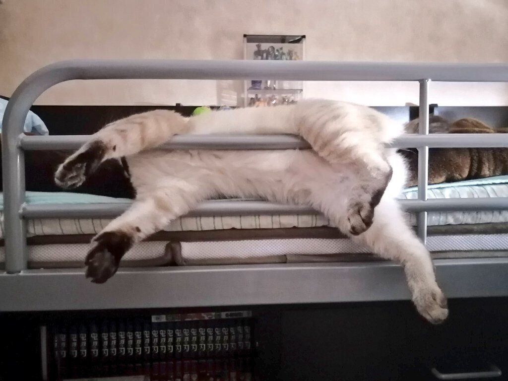 すごい体勢で眠るつむぎちゃん