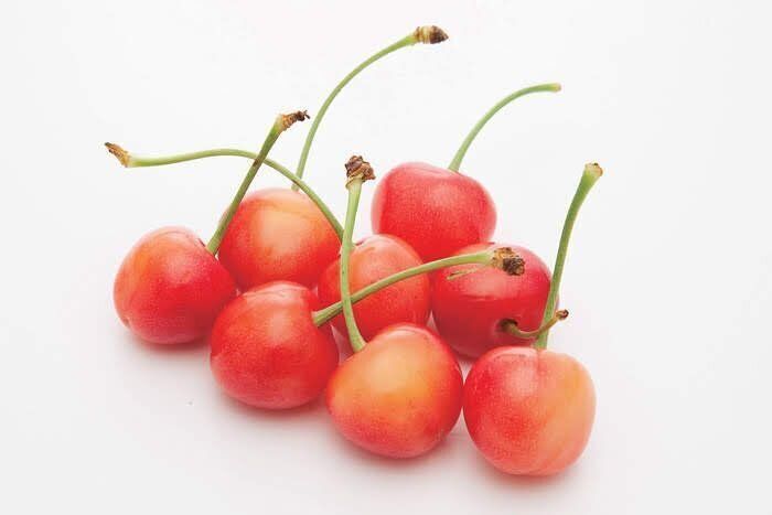 さくらんぼの画像