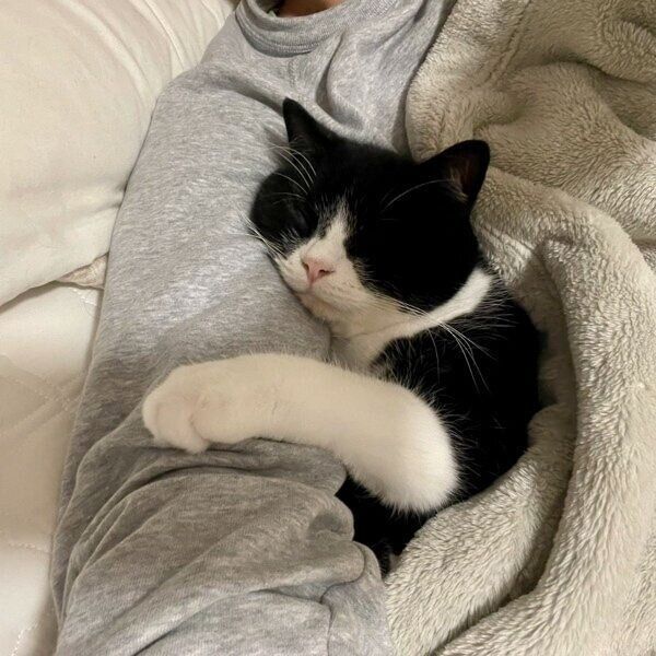 飼い主さんの腕枕で気持ちよさそうに眠るたろうくん