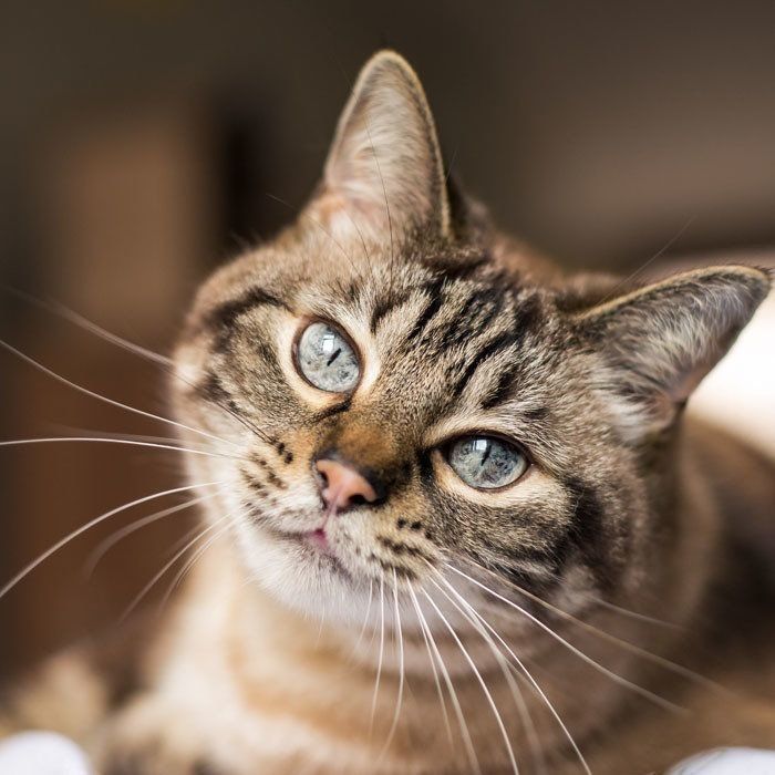 画像／ iStock / Getty Images Plus