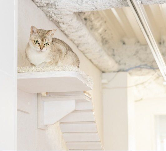 撮影／中川文作