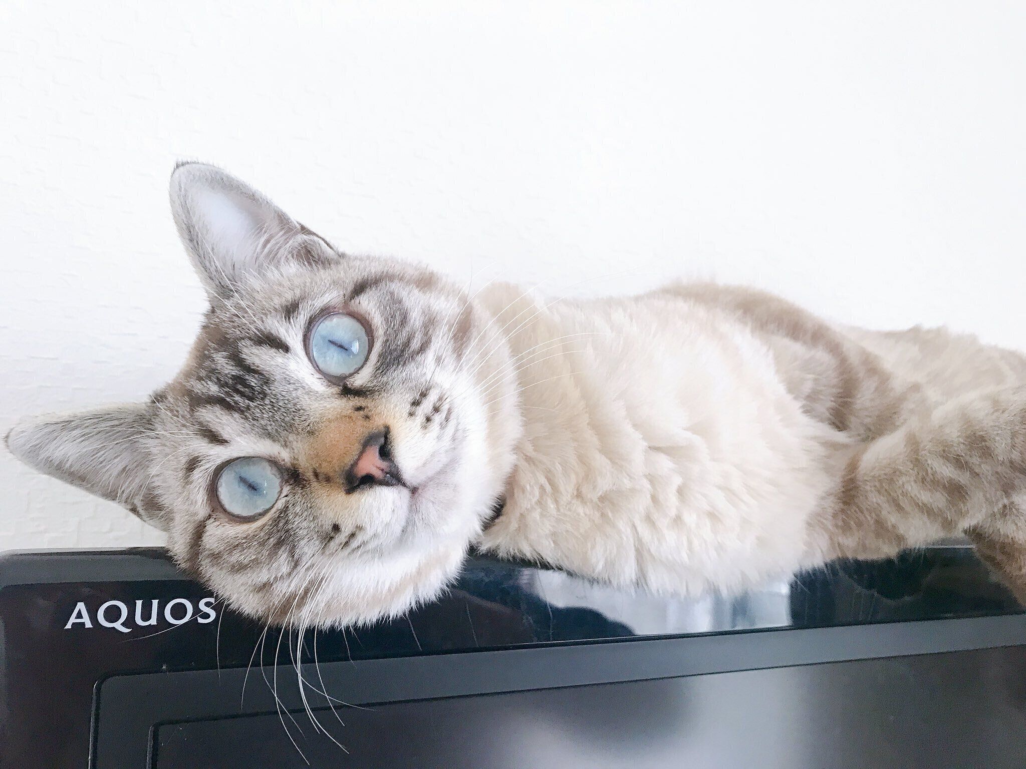 やんちゃな様子が伝わってくる1枚