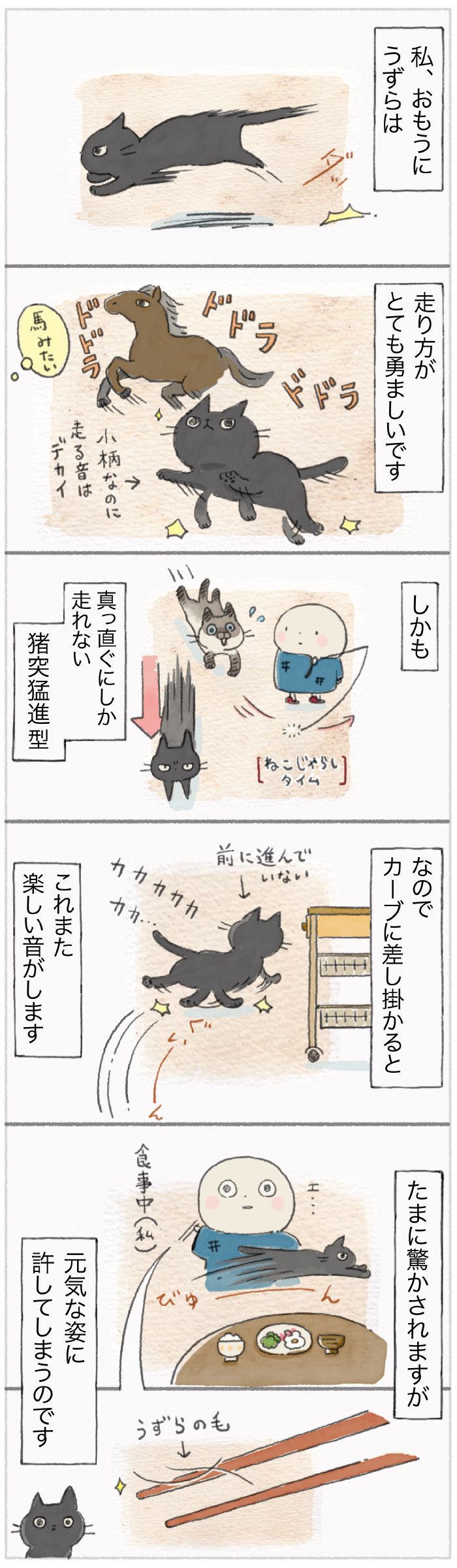 「ねこ連れ草」46話め