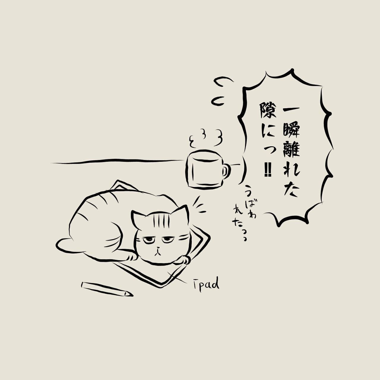 乗りたい猫と阻止したい飼い主の攻防 賢いたまちゃんが考えた策とは 連載 交通事故にあった猫を拾いました 50 ねこのきもちweb Magazine