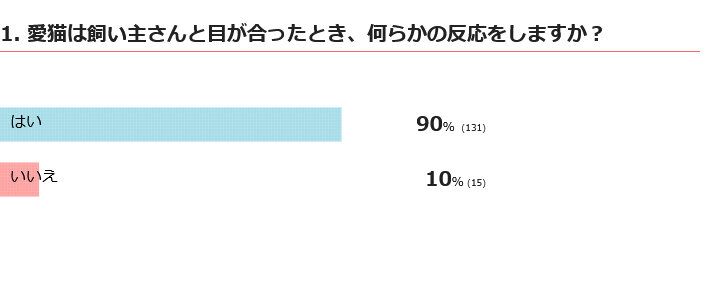 目が合うと愛猫は反応する？