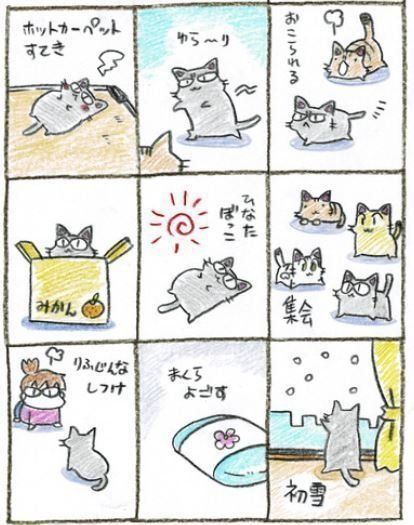 ©片倉真二/講談社