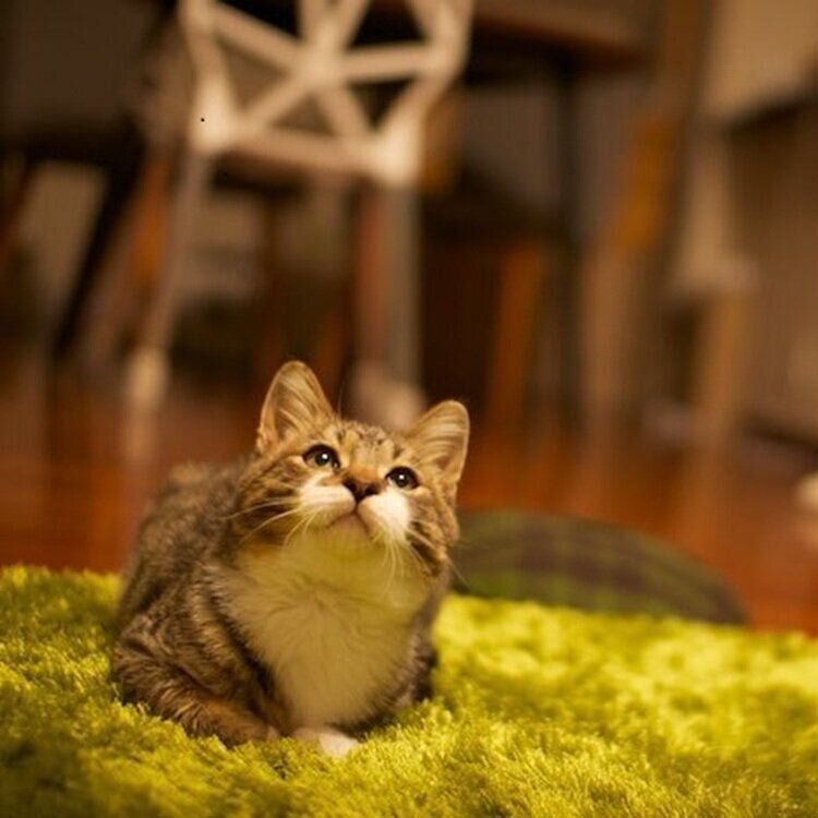 遊ぶようになった頃のぽんちょくん