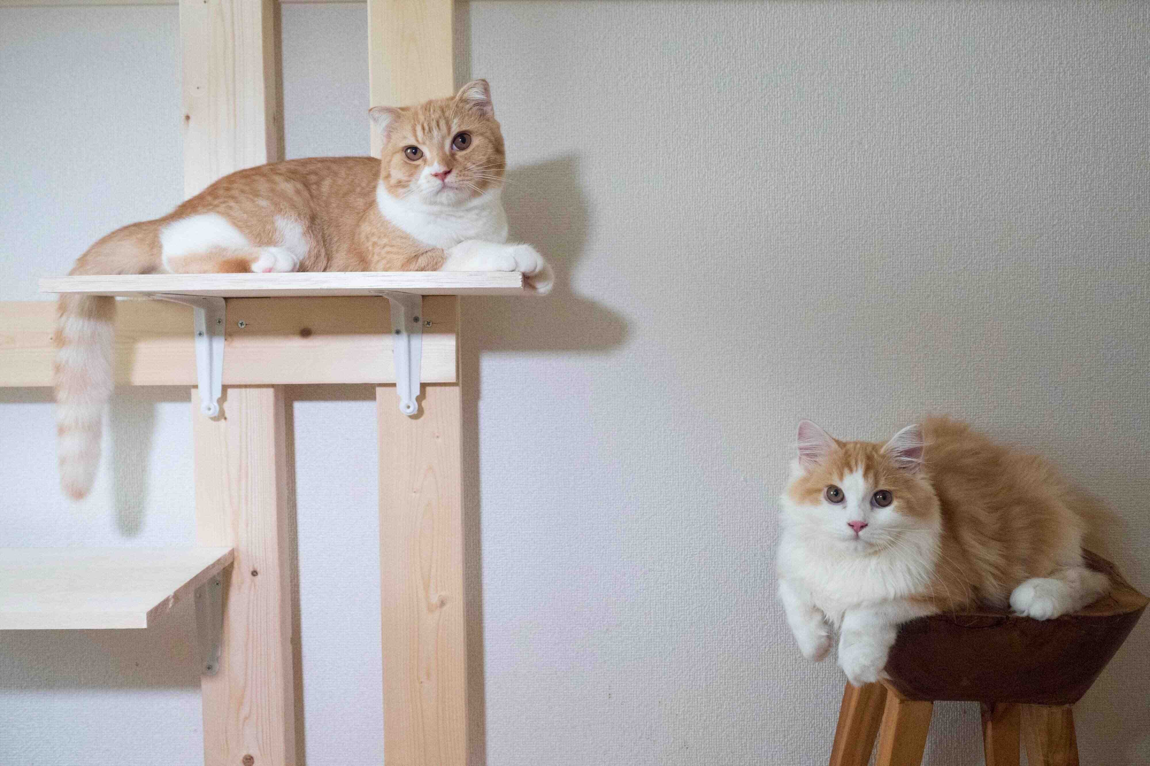 撮影／小森正孝