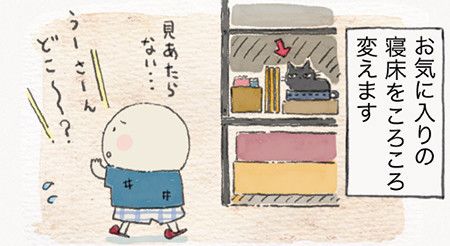 「ねこ連れ草」サムネイル