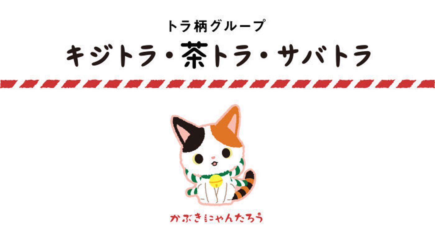 キレイな しま模様 が特徴 キジトラ 茶トラ サバトラって ねこのきもちweb Magazine キレイな しま模様 が特徴 キジトラ 茶トラ サバトラって ねこのきもちweb Magazine