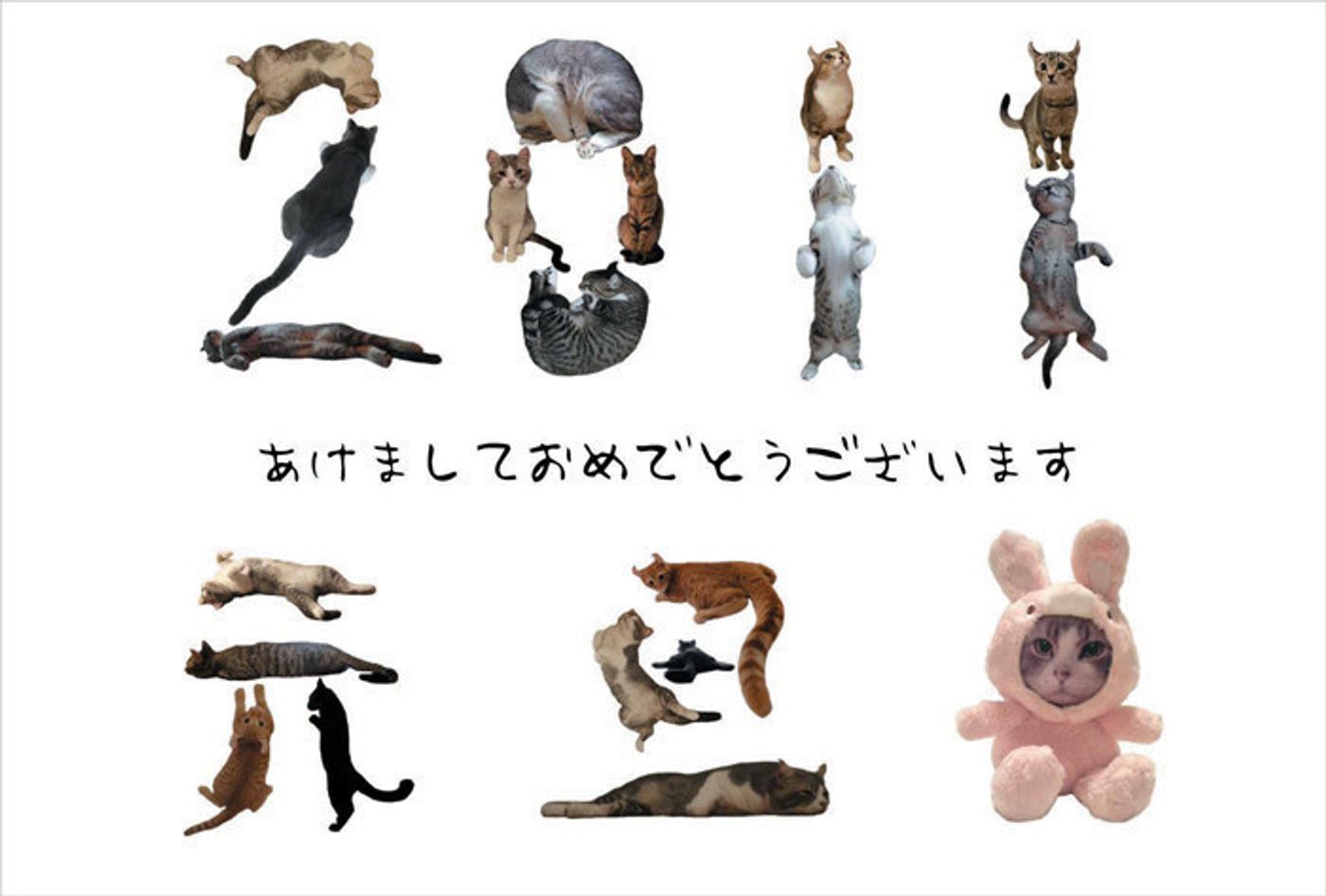 マネしたい 猫好きクリエイターのおしゃれな年賀状 ねこのきもちweb Magazine マネしたい 猫好きクリエイターのおしゃれな年賀状 ねこのきもちweb Magazine