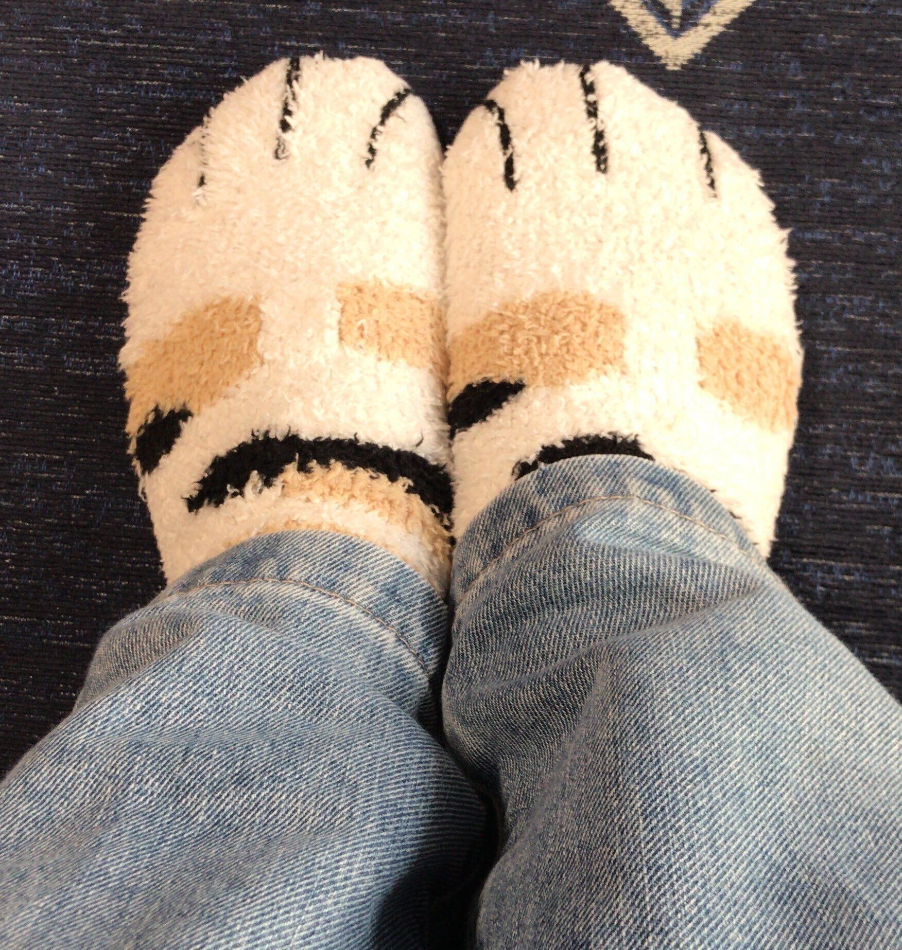 ネコの足の靴下