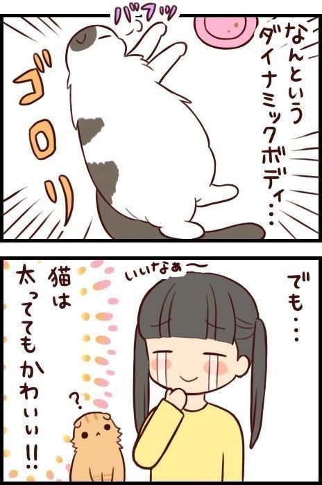 「もふもふスコたん」vol.6