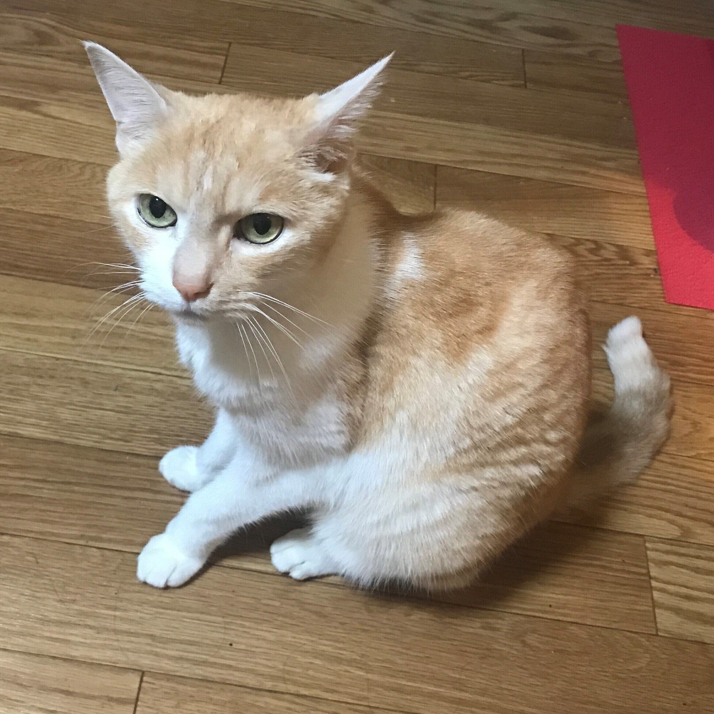 写真提供／読者