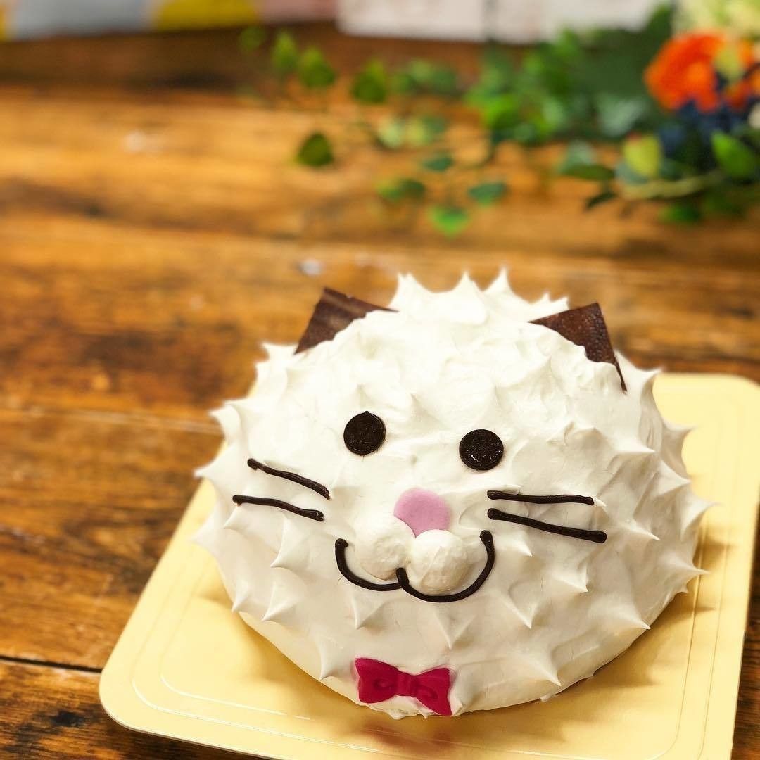 HIROTAのねこのシューミルフィーユ