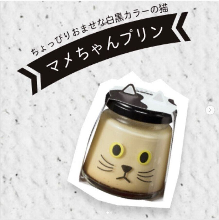 マメちゃんプリン