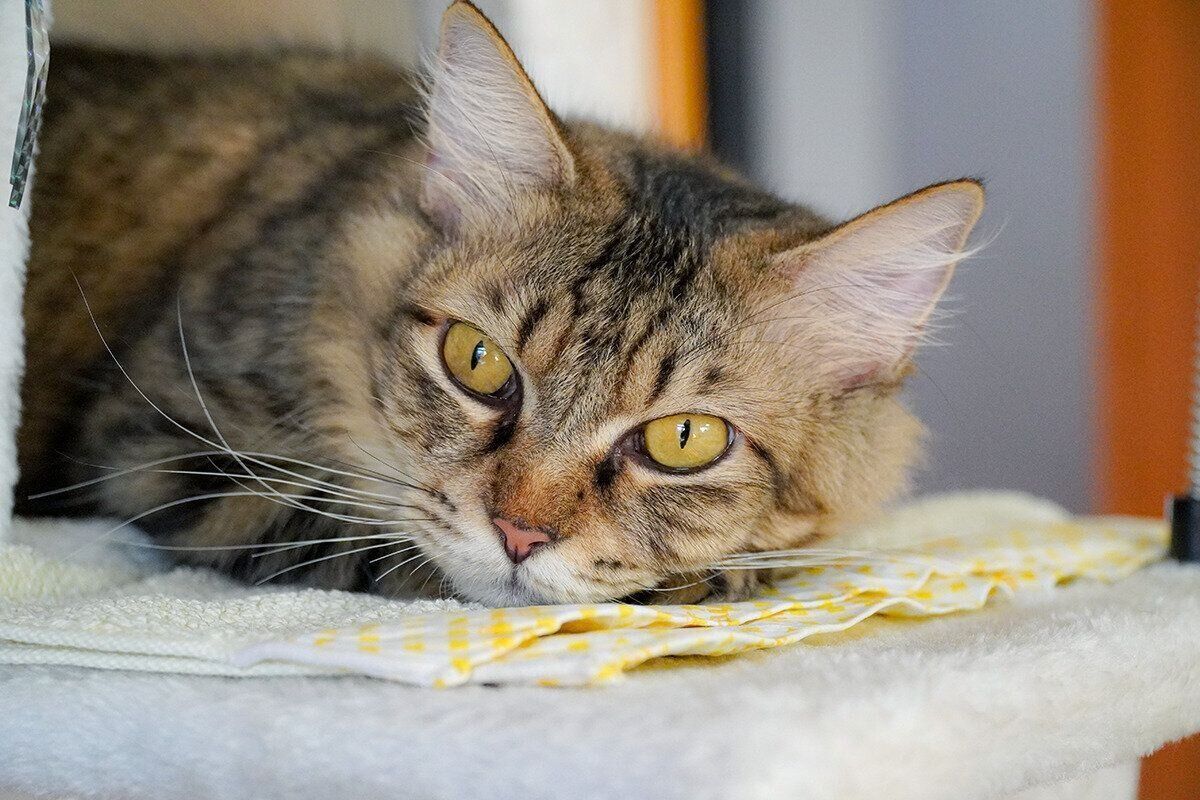 キレイな瞳が印象的なつむぎちゃん