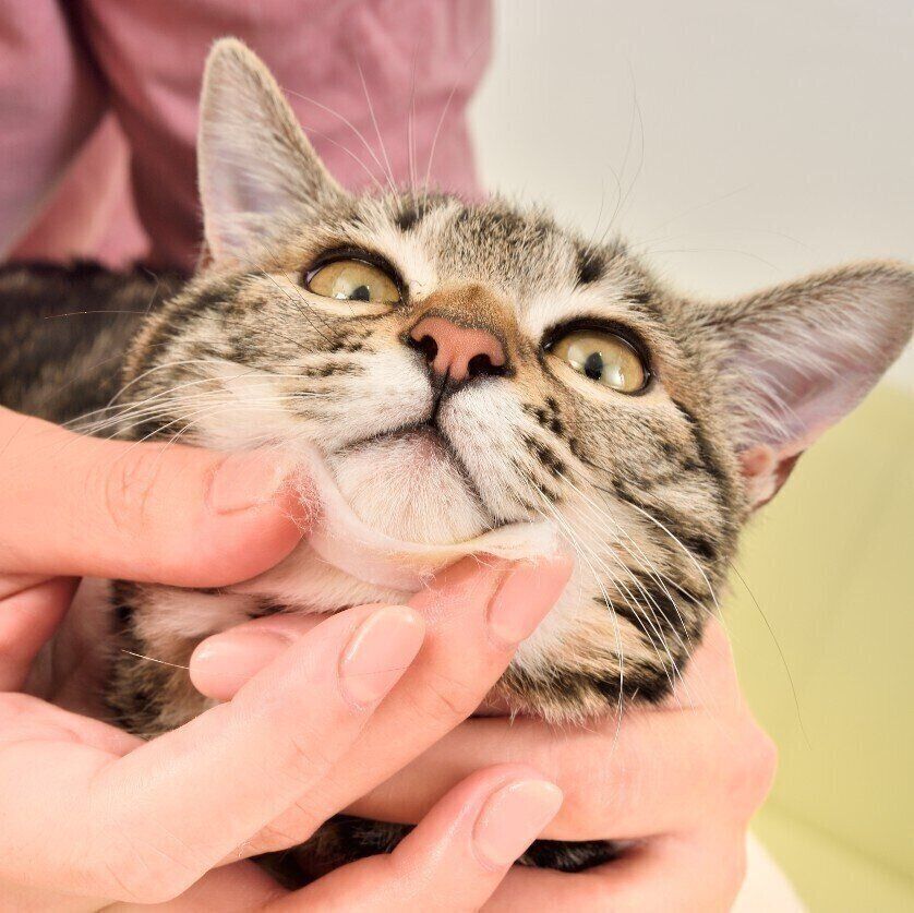 撮影／佐藤正之