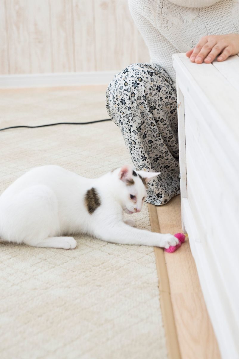 撮影／中川文作