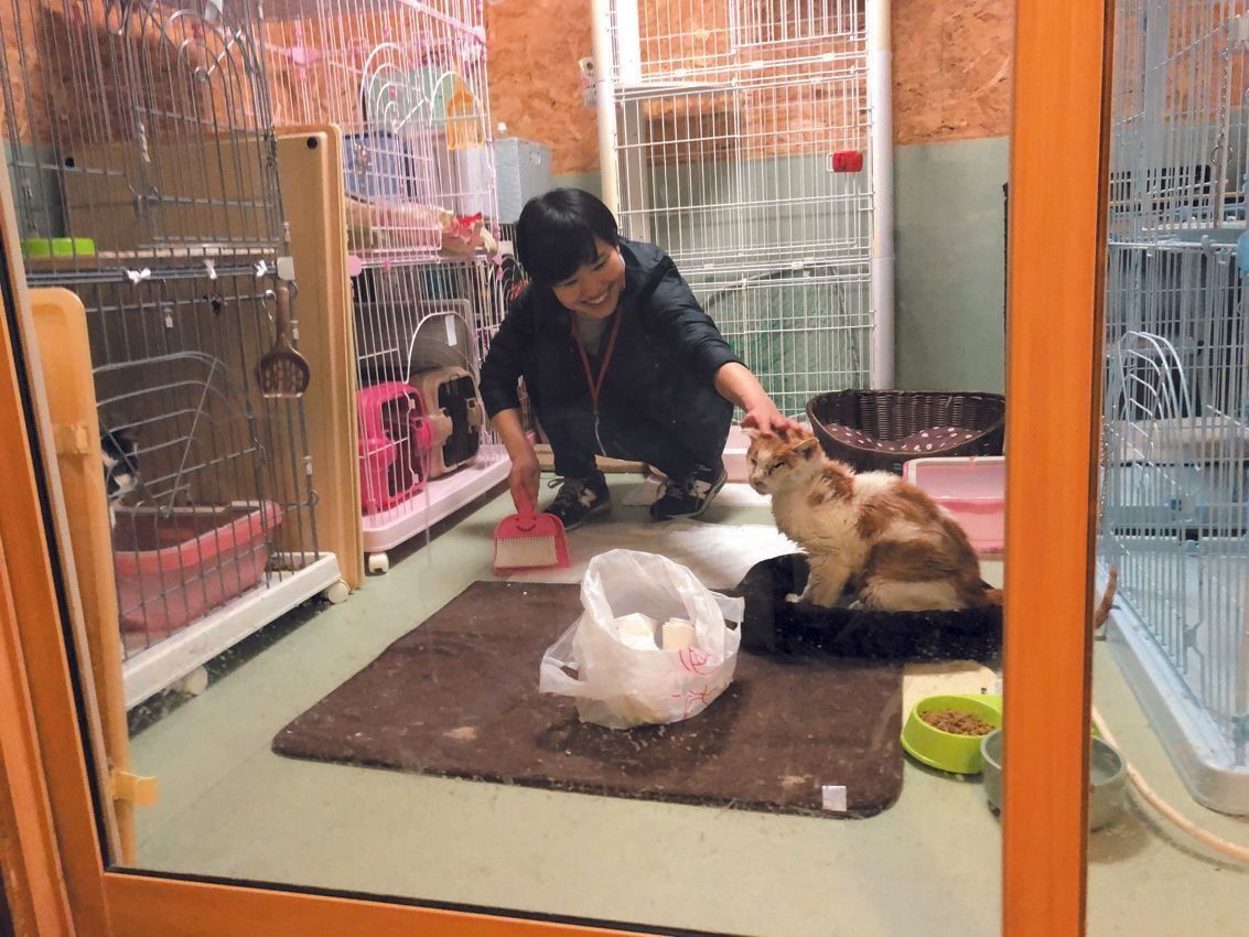 写真提供／一般財団法人クリステル・ヴィ・アンサンブル