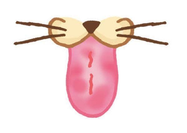 健康／異変のある猫の舌