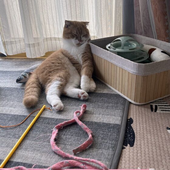 ミヌエットのうにくん