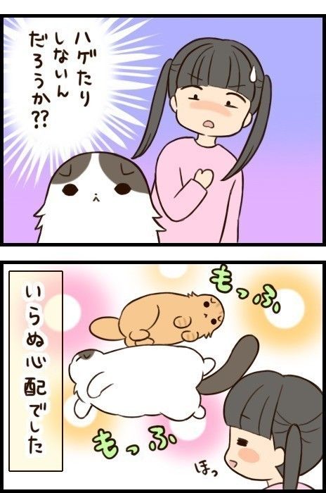 「もふもふスコたん」22話目