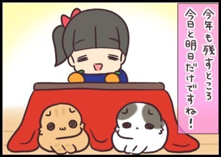 健康がなによりの猫からの贈り物 今年も元気でいてくれてありがとう 連載 もふもふスコたん 6 ねこのきもちweb Magazine 健康がなによりの猫からの贈り物 今年も元気でいてくれてありがとう 連載 もふもふスコたん 6 ねこのきもちweb Magazine