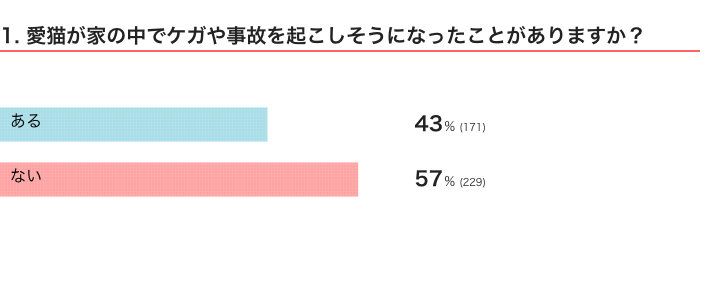 ねこのきもちWEB MAGAZINE　猫のハプニングに関するアンケート